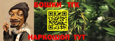 молекула духа Бузулук