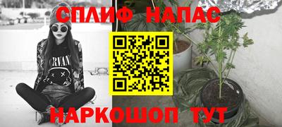 Альфа ПВП Будённовск