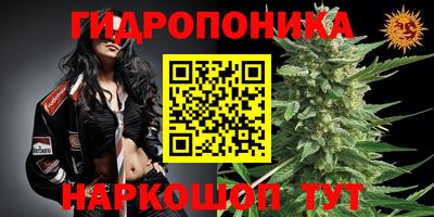 Альфа ПВП Будённовск