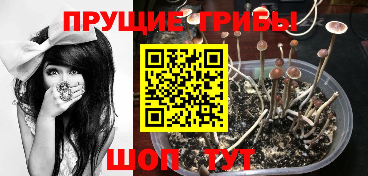 Галлюциногенные грибы MAGIC MUSHROOMS  Вход с VPN  Обнинск  Галлюциногенные грибы MAGIC MUSHROOMS 