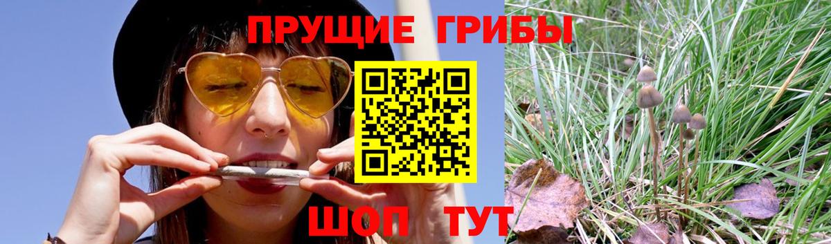 Галлюциногенные грибы ЛСД Обнинск