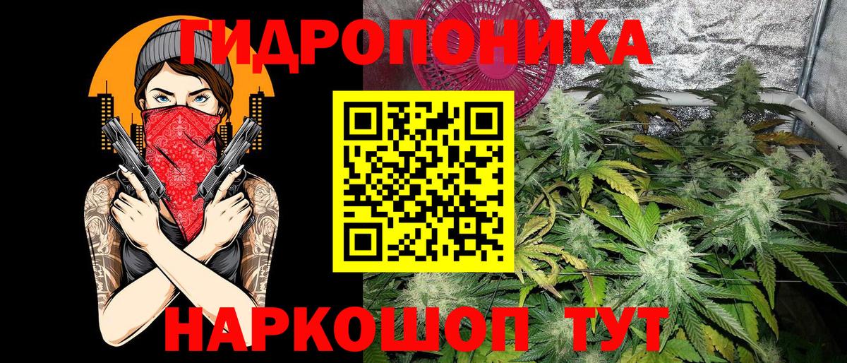 Меф Обнинск